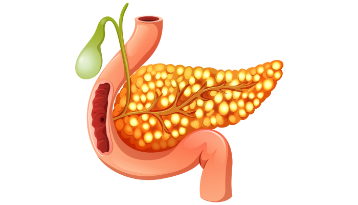 Pancreas Diseases Doctor in Pune | Gastroentrologist-Dr. Ujwal Zambare ...